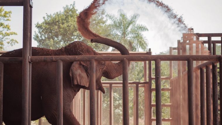 Foto: Fundación Franz Weber