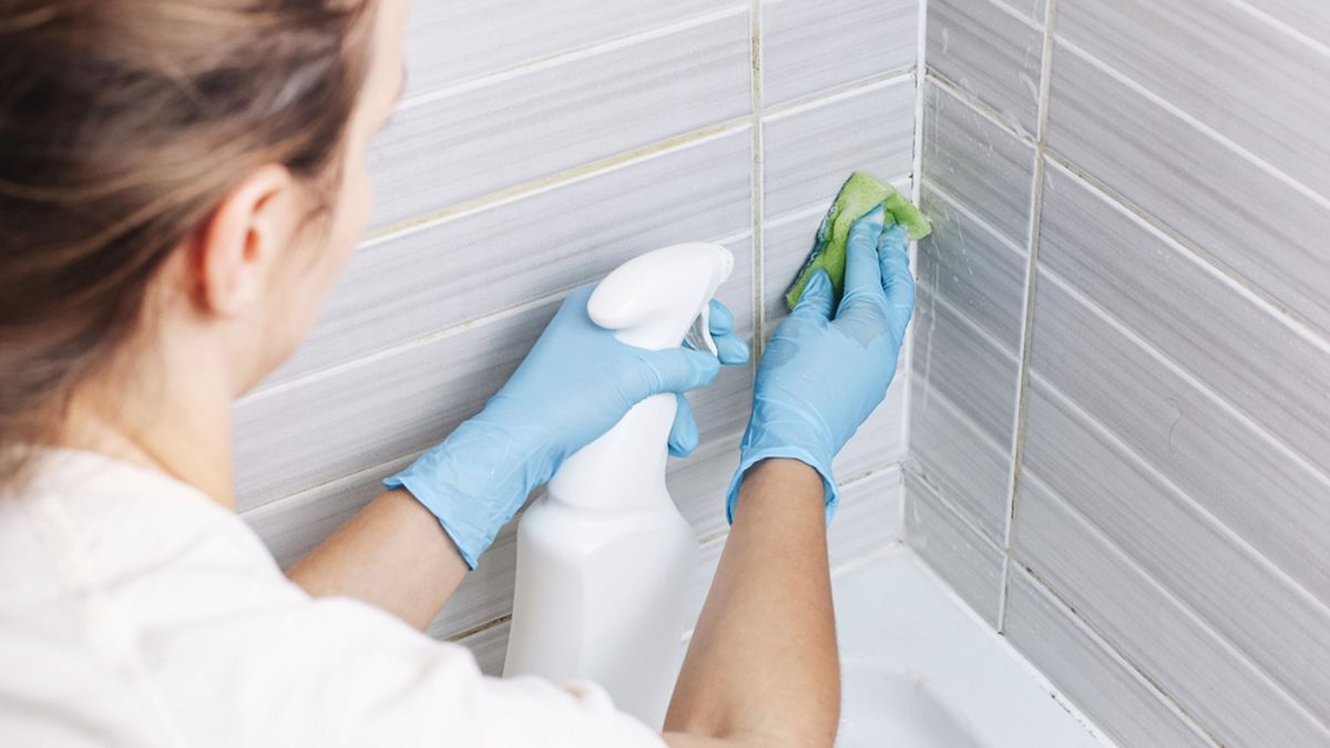 La forma más fácil de limpiar el inodoro a diario y las baldosas del baño
