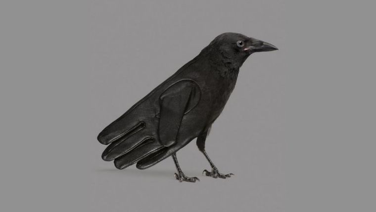 Test de personalidad