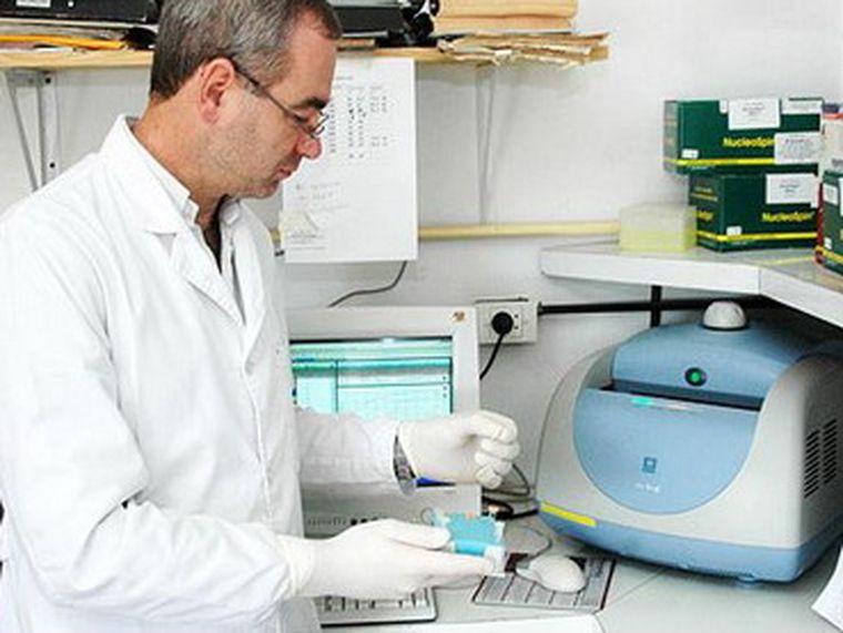 El laboratorio del Central ya no tiene muestras para analizar.