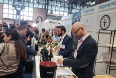 bodegas mendocinas se muestran en la vinexpo de nueva york