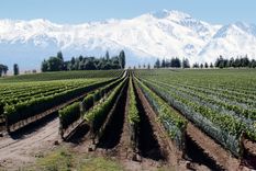 Mendoza es escogida por miles de turistas. Foto: archivo MDZ
