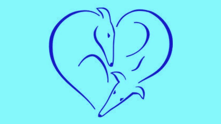 Test de personalidad