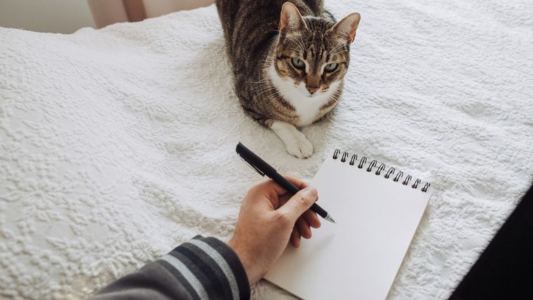 Foto: Olga Moreira / Gettyimages.ru