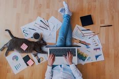 Por qué esta carrera fue elegida por la inteligencia artificial. Foto: Shutterstock Por qué esta carrera fue elegida por la inteligencia artificial. Foto: Shutterstock