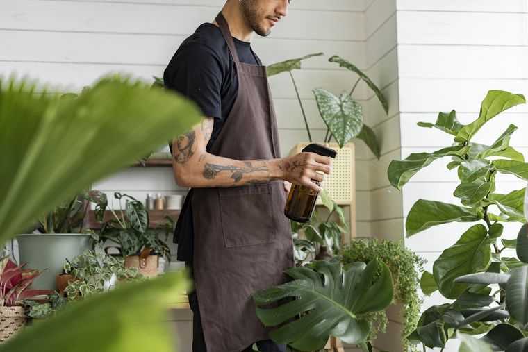Evitar colocar a las plantas el alcohol de ajo en horas de la siesta y sol fuerte. Foto: Freepik