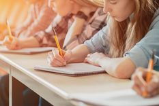 El ranking privilegia una serie de condiciones que debe reunir la institución educativa. Foto: Shutterstock