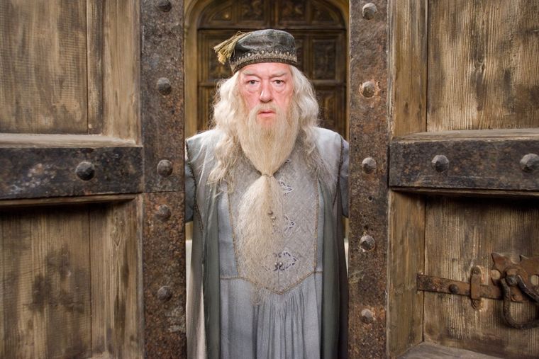 A  sus 82 años, muere el actor que interpretó a Dumbledore en Harry Potter Michael Gambon interpretó el papel de Albus Dumbledore. Foto: HBO Max
