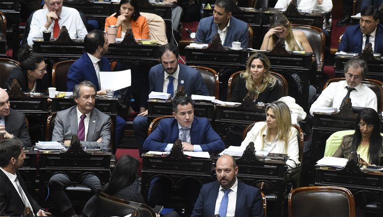 Ahora se vota en particular cada uno de los capítulos de la ley. Foto: Juan Mateo Aberastain/MDZ