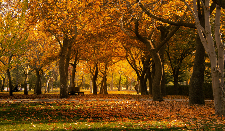 Qué portal energético se abre con la llegada del otoño?´Descubrilo en la nota.