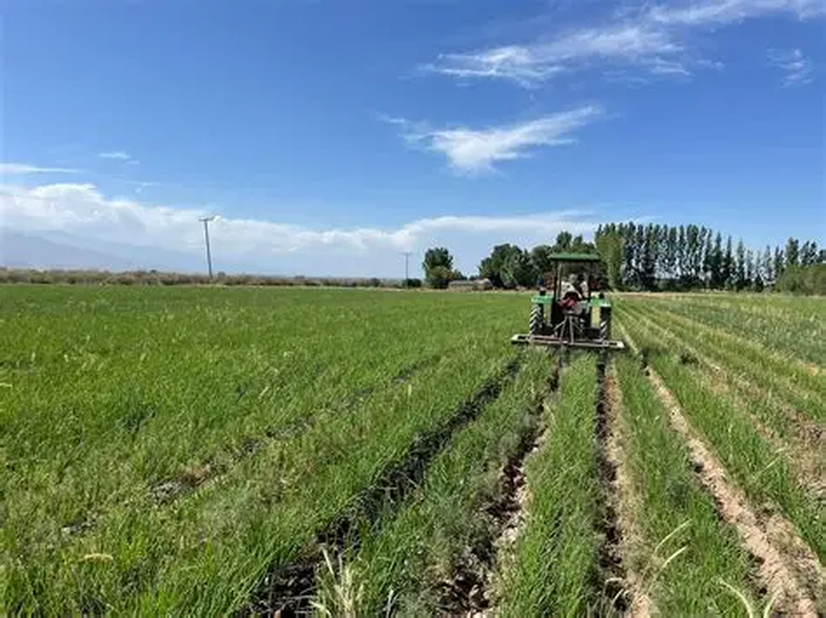 La agricultura es protagonista entre los distintos ejes que atraviesan la feria. La agricultura es protagonista entre los distintos ejes que atraviesan la feria.