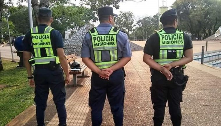 El descubrimiento fue en la provincia de Misiones (imagen ilustrativa) Foto: Misionesonline