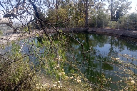 limpiaron el estanque del cerro de la gloria que se habia colmado de basura limpiaron el estanque del cerro de la gloria que se habia colmado de basura