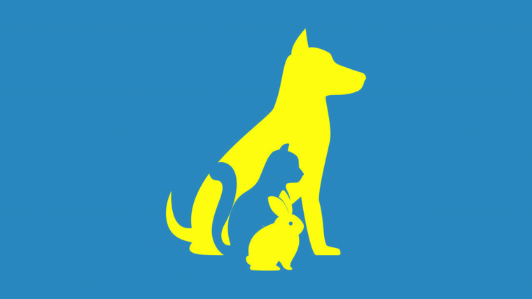 test de personalidad