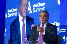 Scioli defiende su precandidatura a presidente con una picante e irónica frase. Foto: Noticias Argentinas