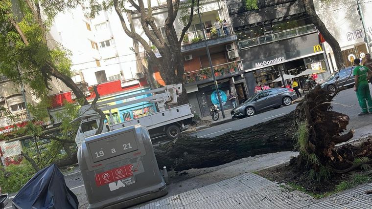 El hecho ocurrió cerca de las 16 horas en avenida Elcano, entre las calles Conde y Superí, una zona de alto flujo automotor.