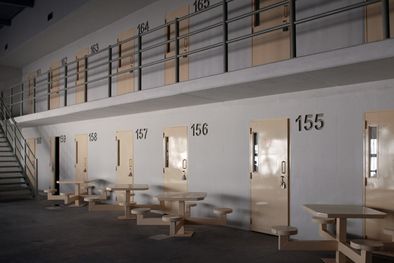 MDZol | Foto: Archivo/MDZ