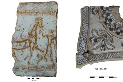 MDZol | Foto: livescience.com