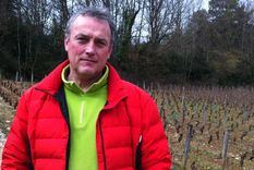 la triste historia del vinatero que no quiere usar pesticidas