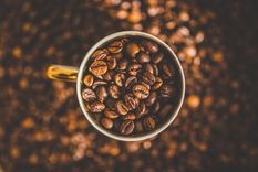 ¿que tipo de cafetera prepara el mejor cafe? las analizamos todas