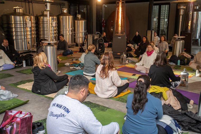 Prácticas indoor para el circuito invernal de Yoga por los Caminos del Vino. Prácticas indoor para el circuito invernal de Yoga por los Caminos del Vino.