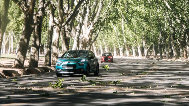 Las ráfagas en algunos sectores podrían llegar a los 80 kilómetros por hora Foto: Santiago Tagua/MDZ