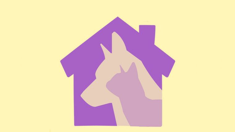 Test de personalidad