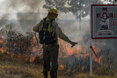 Ya se han quemado casi 800 mil hectáreas en Corrientes. Foto: TELAM
