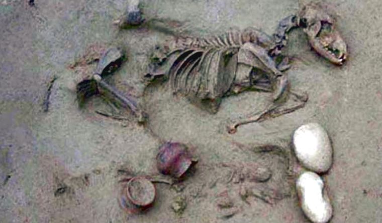 Enterramiento de un niño con un perro. Foto: Dpa.