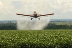 fumigacion con agrotoxicos: 12 millones de argentinos viven expuestos