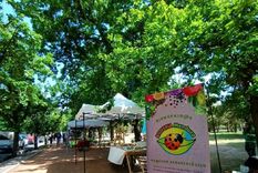 Las opciones saludables quedan en Ciudad y Chacras de Coria Foto: Instagram Bioferia