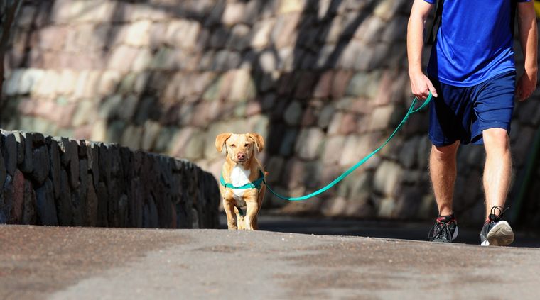 La semana pasada el Concejo Deliberante de Godoy Cruz aprobó esta iniciativa impulsada por el oficialismo de Cambia Mendoza y criticada por el Frente de Todos. Foto: ALF PONCE MERCADO / MDZ