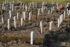 Un cementerio en la provincia de Java Oriental, Indonesia, el 16 de mayo de 2020. Foto: RT