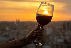 Dos propuestas completamente distintas y el vinos, siempre, como protagonista. Foto: Canva