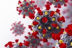 A nivel molecular, el SARS-CoV-2 tiene una característica que puede ser atacada y neutralizar su ataque. Foto: GETTY IMAGES