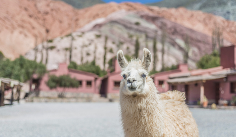 Jujuy. Foto: Canva Jujuy. Foto: Canva