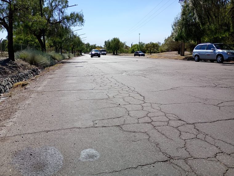 WhatsApp-Image-2025-10-29-at-11.04.49