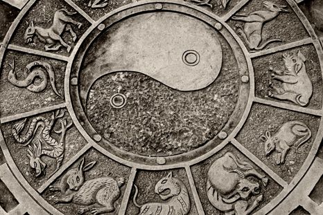 Esto es lo que le espera a cada signo, según la astrología china Foto: Tierra Hechicera.