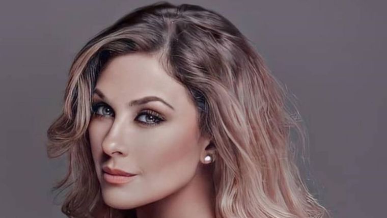 Aracely Arámbula, Luis Miguel