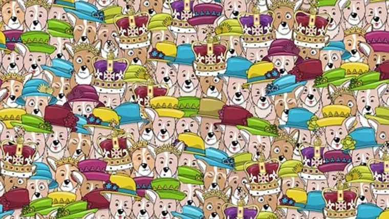 Acertijo visual, reto visual, reina isabel II Pinterest Foto: Pinterest