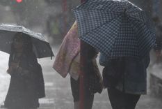 El reporte de Defensa Civil informó acerca de las actuaciones del organismo por una nueva tormenta en la provincia de Mendoza.