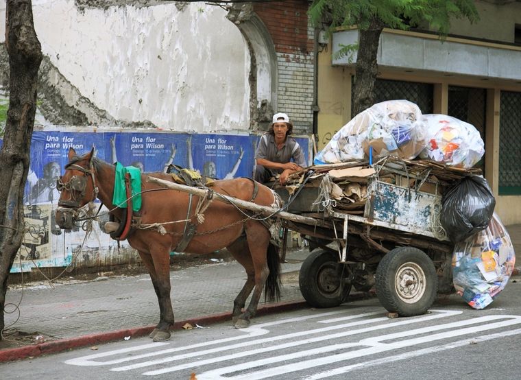 Los caballos usados por recolectores informales de basura también son usados en carreras cuatreras los fines de semana