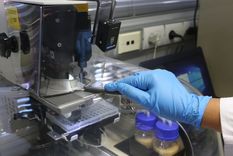 Foto: Prensa Gobierno de Mendoza