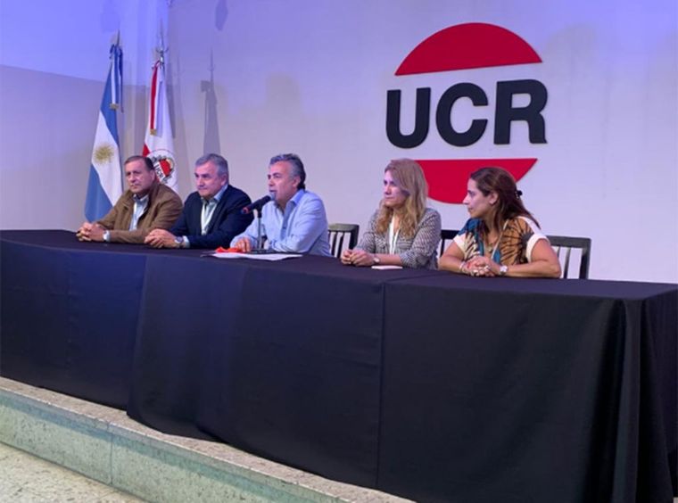 Alfredo Cornejo fue reelegido como presidente de la UCR.