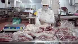 record para la carne argentina: se disparan las exportaciones y entran mas dolares