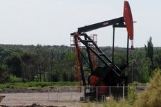 Foto: ALF PONCE MERCADO / MDZ