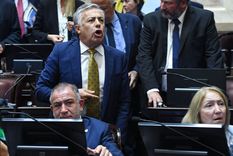 Foto: Prensa Senado Nacional Foto: Prensa Senado Nacional