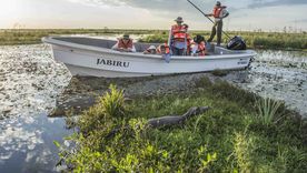 En Carlos Pellegrini se puede navegar en lancha por la laguna Iberá.