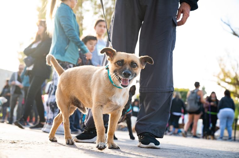En pos de la promoción de salud integral, la capital mendocina ofrece servicios de calidad y totalmente gratuitos. Foto: Ciudad de Mendoza