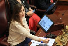 Victoria Villarruel mostró en su cuenta de X el tenor de los mensajes recibidos Foto: NA